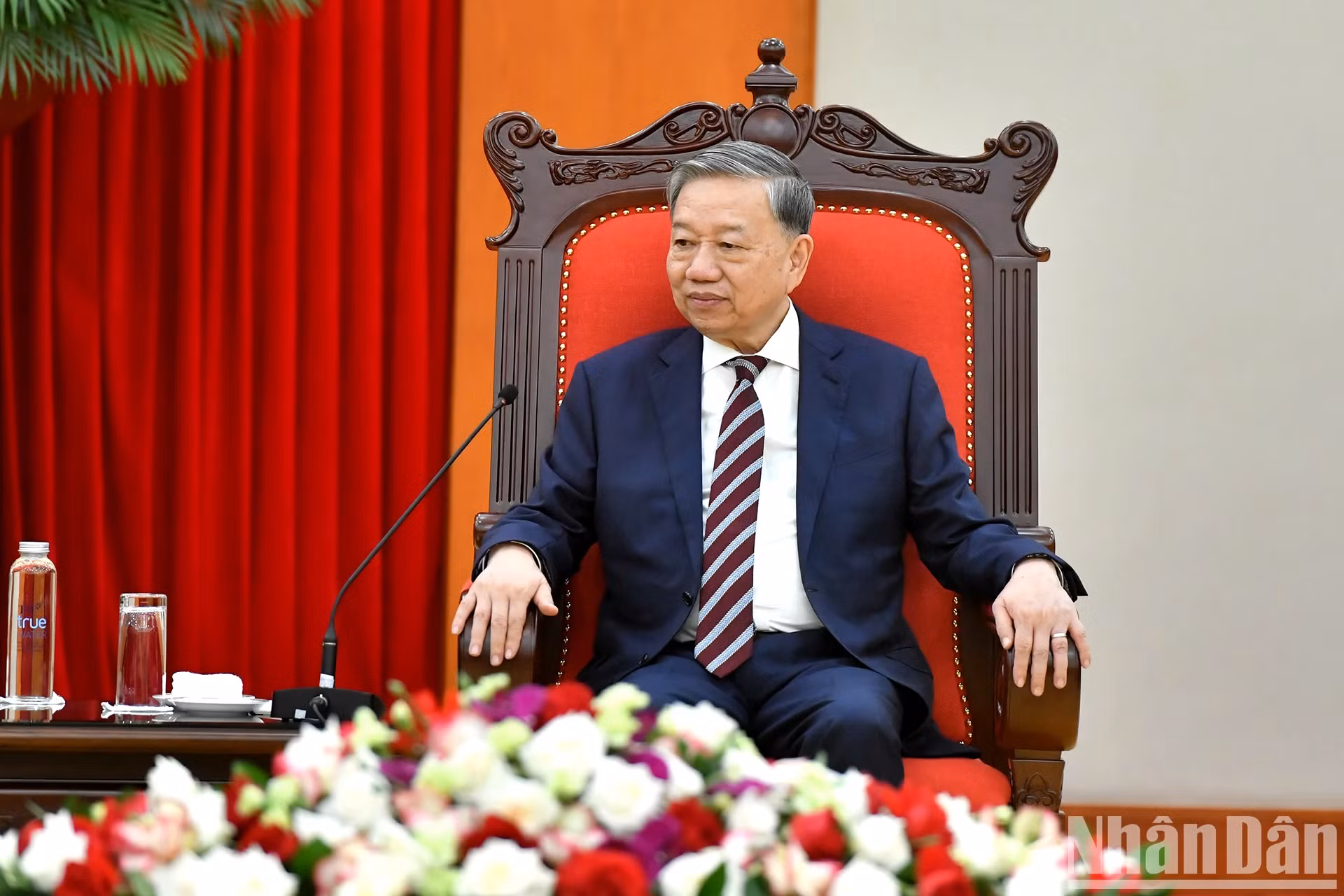 苏林总书记在会见中发表讲话。