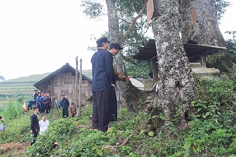 居住黄树肥县纵振乡仡佬族的黄韵纵城隍祭祀仪式。(图片来源:河江报网) 居住黄树肥县纵振乡仡佬族的黄韵纵城隍祭祀仪式。(图片来源:河江报网)