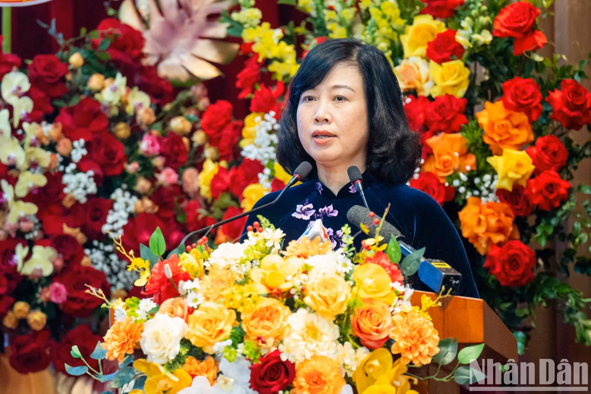 越南卫生部部长陶红兰发表讲话。
