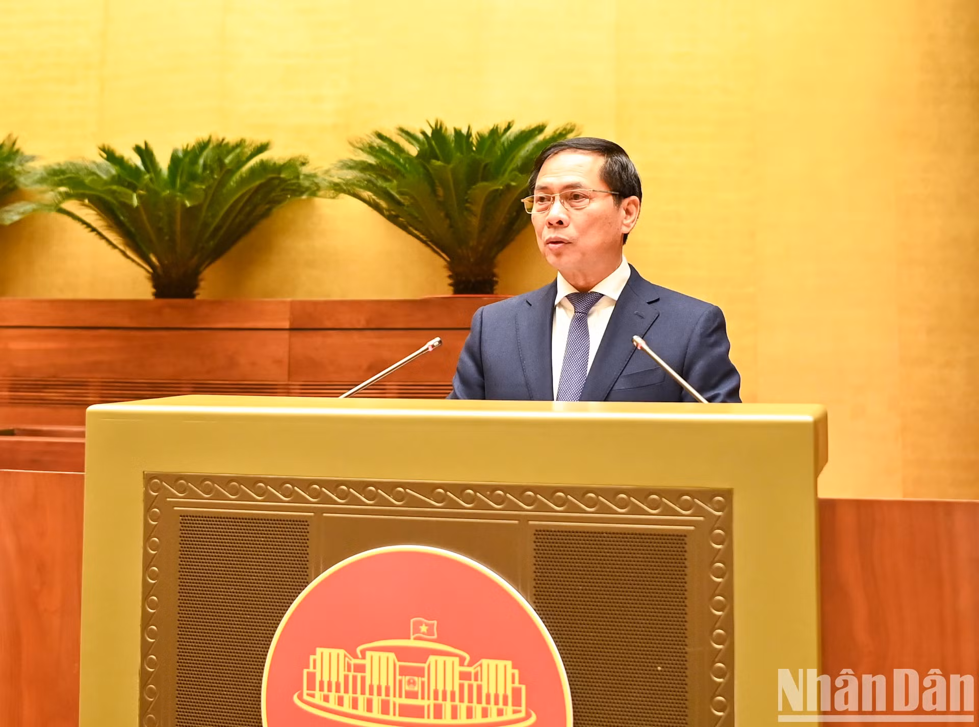 越南外交部部长裴青山发表讲话。