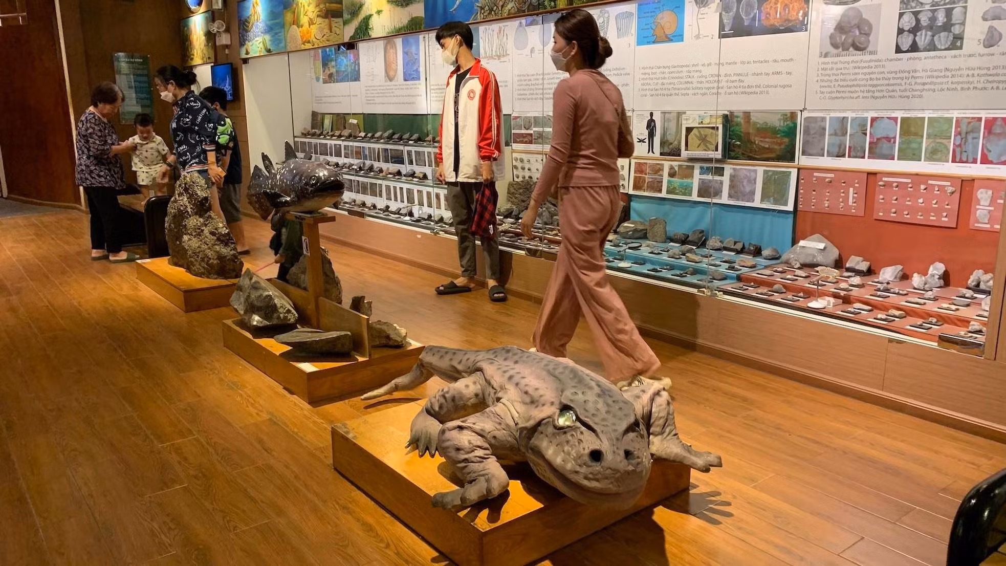每个展区都有一个投影屏幕,向参观者介绍那个时期动植物的演变和发展。 每个展区都有一个投影屏幕,向参观者介绍那个时期动植物的演变和发展。