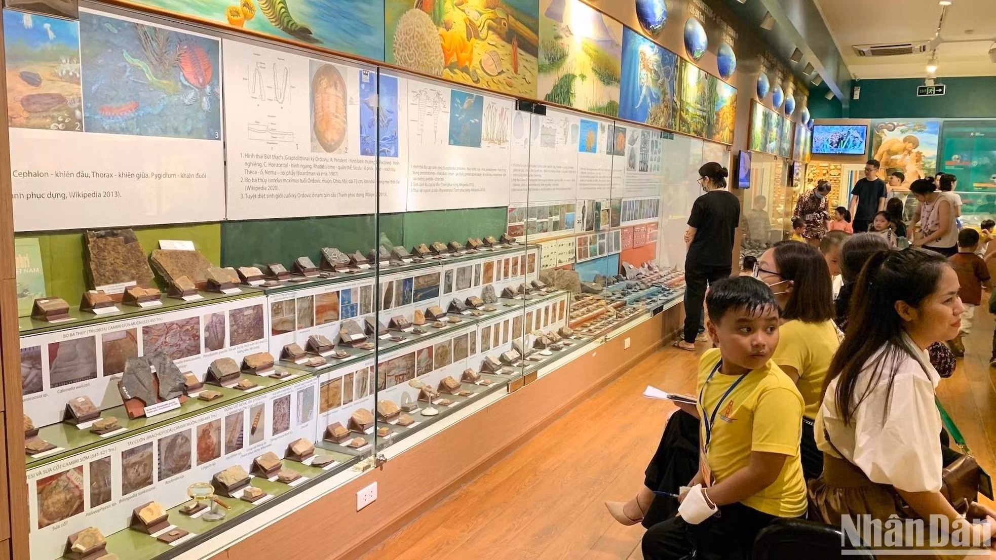 生命史展示区,有4个地质发展时期的典型化石标本。 生命史展示区,有4个地质发展时期的典型化石标本。