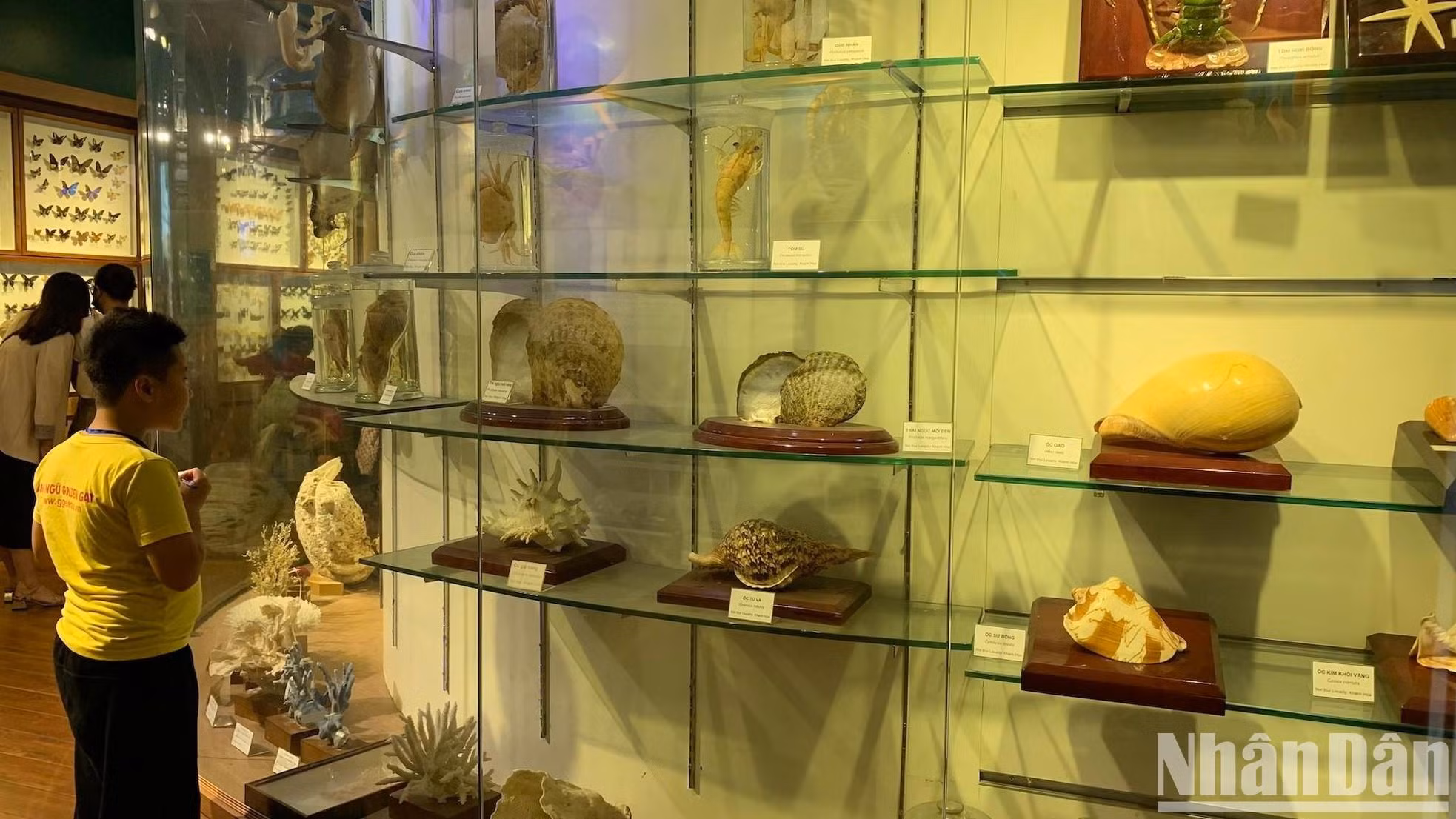 脊椎动物和海洋生物展示区。 脊椎动物和海洋生物展示区。