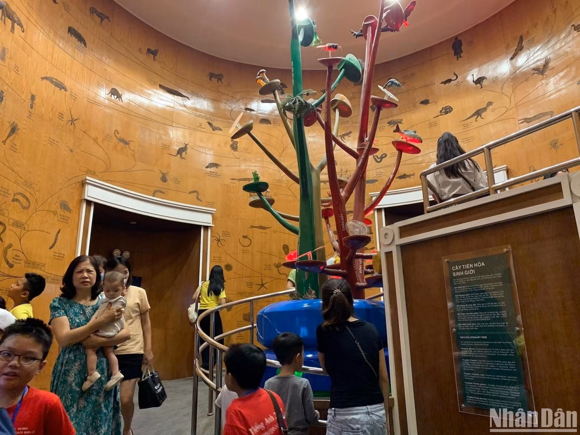 木墙上非常详细地展示了生命进化之树,展示了5个生物界的多样化生命世界:祖细胞、原生动物、真菌、植物和动物。 木墙上非常详细地展示了生命进化之树,展示了5个生物界的多样化生命世界:祖细胞、原生动物、真菌、植物和动物。