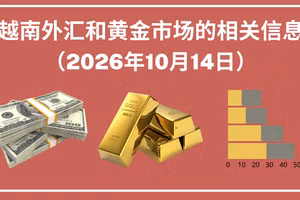 越南外汇和黄金市场的相关信息【图表新闻】