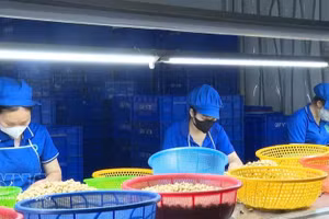 附图。