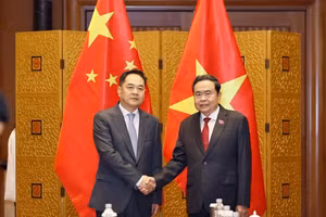 越南国会主席陈青敏与中国人民对外友好协会会长杨万明。（图片来源：越通社）