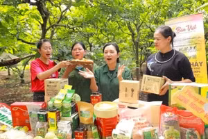 数字服务行业的增长速度远超传统商品贸易。