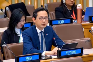 越南常驻联合国代表团团长杜雄越大使。（图片来源：国际报）