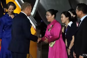 岘港市人民委员会副主席阮氏英诗前往机场迎接波兰共和国总理唐纳德·图斯克。（图片来源：越通社）