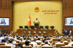 越南卫生部部长陶红兰在会上发表讲话。（图片来源：越通社）