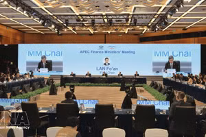 第33届亚太经合组织（APEC）财政部长会议现场。（图片来源：越通社）