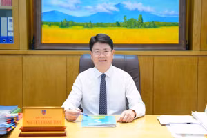 越南司法部副部长阮青静。（图片来源：VGP）