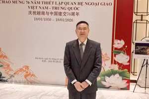 中国浙江工业大学区域国别研究院执行院长，越南研究中心主任成汉平教授、博士。（图片来源：越通社）