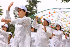 首都河内老年人太极拳集体展演活动。（图片来源：越通社）