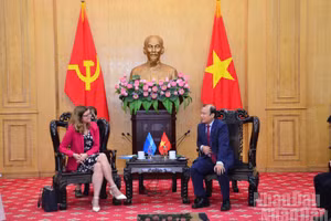 越共中央委员、胡志明国家政治学院常务副院长黎海平会见联合国儿童基金会驻越南首席代表西尔维娅-达内洛夫。（范强 摄）