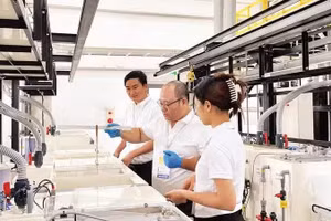位于HANSSIP工业园区的日本翁长株式会社工厂生产线。