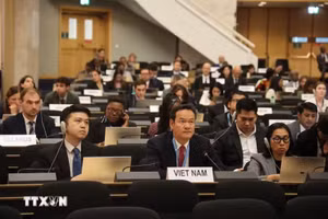 越南常驻联合国、世界贸易组织和在瑞士日内瓦其他国际组织代表团团长梅潘勇大使出席会议。（图片来源：越通社）