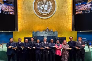 越南和其他国家的代表出席一场联合国大会会议。（图片：越南常驻联合国代表团）