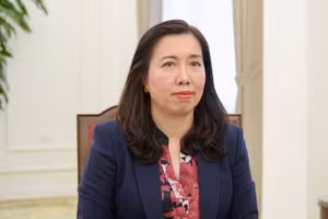 越南外交部副部长黎氏秋姮。（越南外交部供图）