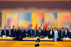 越南代表团在越加经济联合委员会第三次会议上合影留念。（图片来源：越通社）