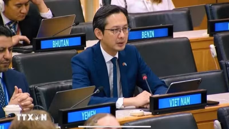 越南常驻联合国代表团团长杜雄越大使出席并发表讲话。（图片来源：越通社）