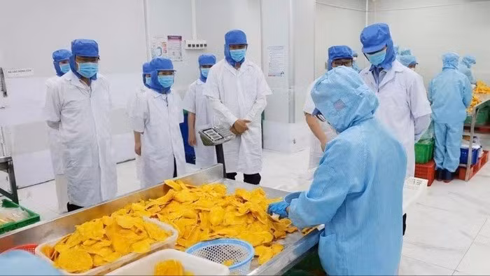 附图：提升越南食品价值：从生产思维转向价值链思维。