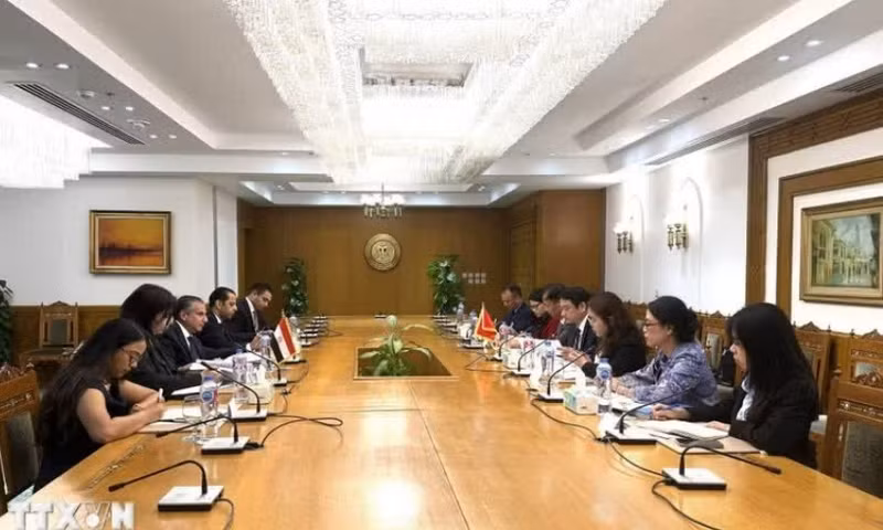 越南与埃及第十一次政治磋商会议场景。（图片来源：越通社）