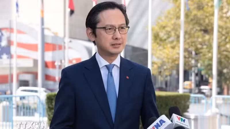 越南常驻联合国代表团团长杜雄越大使。（图片来源：越通社）