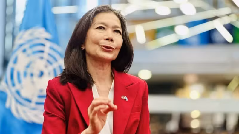 联合国驻越南常驻协调员宝琳·塔梅西斯接受越通社记者采访。（图片来源：越通社）