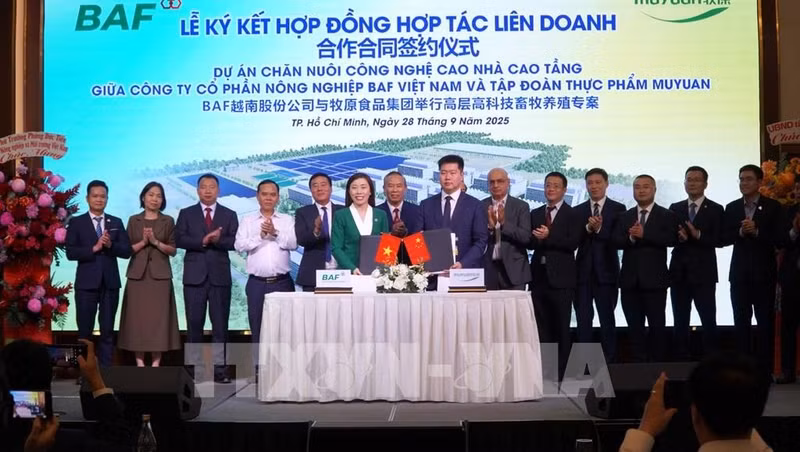 越南BAF农业股份公司与中国牧原食品集团合作合同签约仪式。（图片来源：越通社）
