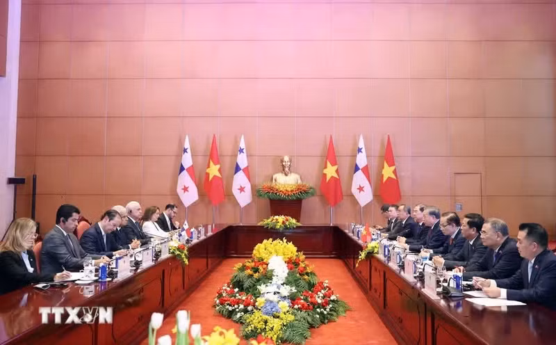 越共中央总书记、国家主席苏林与巴拿马总统何塞·劳尔·穆利诺举行会谈。（图片来源：越通社）