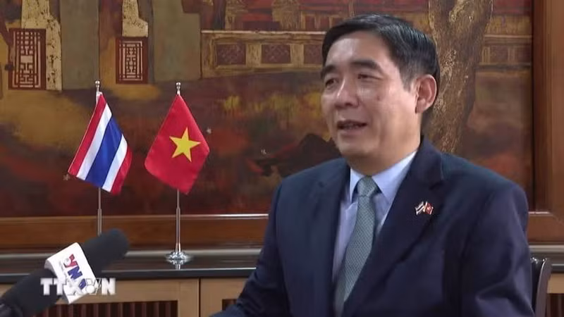 越南驻泰国大使范越雄。（图片来源：越通社）