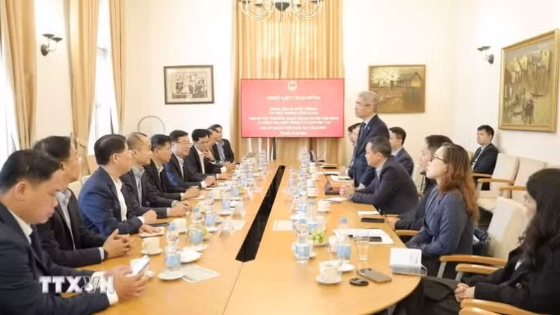 越南驻德国大使阮德成和胡志明市委常务副书记黎国峰一行举行工作会议。（图片来源：越通社）