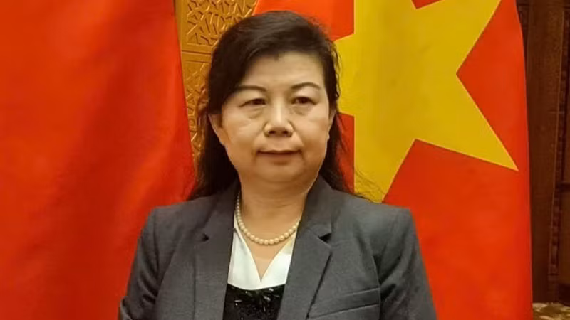 中国人民大学重阳金融研究院研究员刘英接受越通社驻中国记者采访。（图片来源：越通社）
