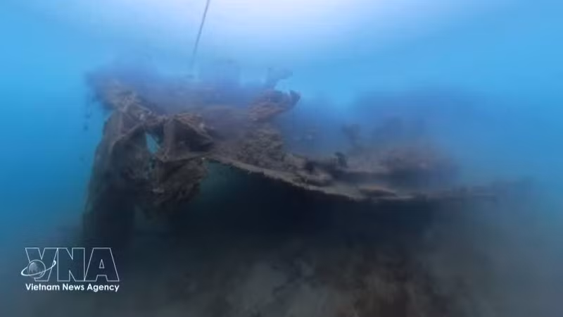 无编号C143号船沉入海底60多年后，船体已出现氧化、钙化现象，并被珊瑚和其他海洋生物覆盖。（图片来源：越通社）