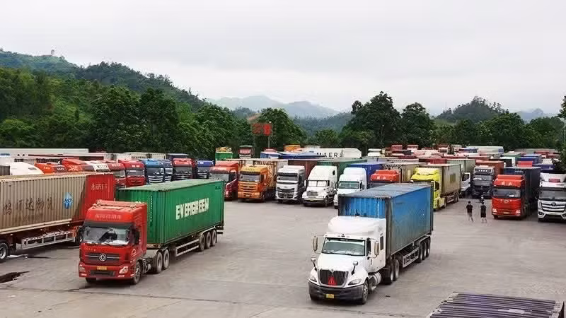 45-7771.jpg
