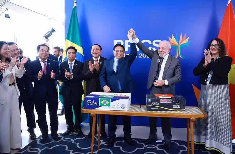 越南政府总理范明正和巴西总统路易斯·伊纳西奥·卢拉·达席尔瓦出席越南与巴西双向贸易出口协议签字仪式。（图片来源：越通社）