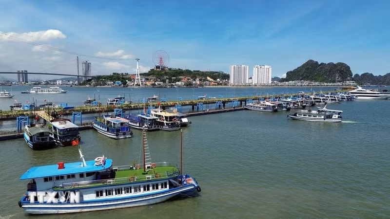 下龙湾景色。