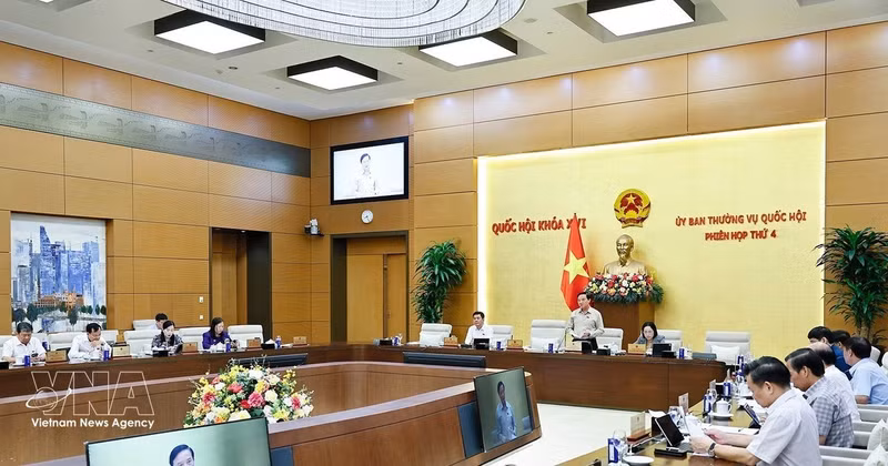 国会副主席阮克定发表讲话。（图片来源：越通社）