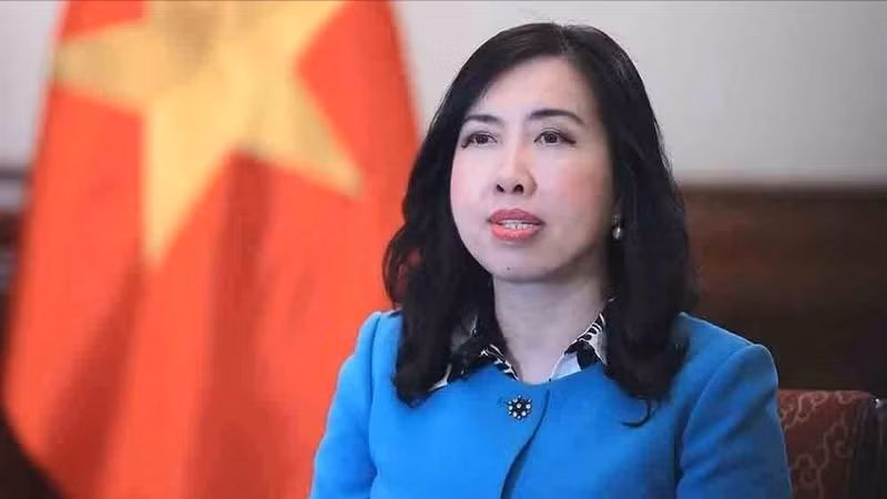 越南外交部副部长黎氏秋姮。（图片来源：越通社）