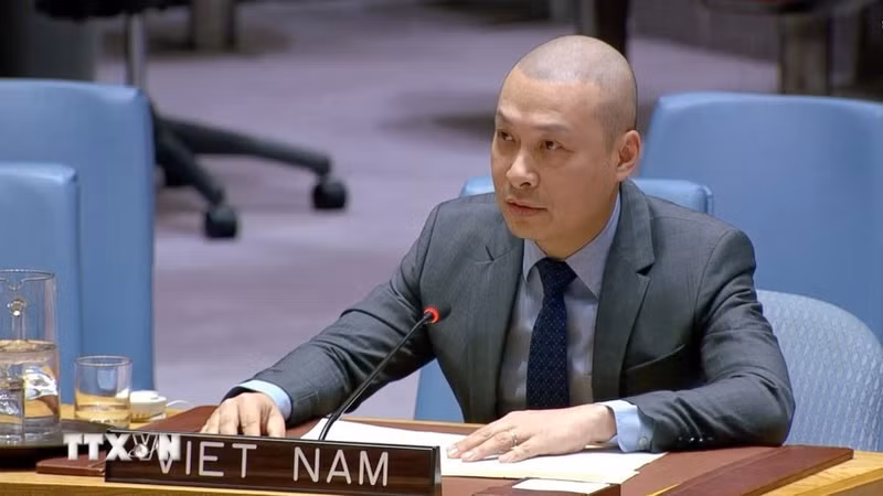 越南常驻联合国代表团临时代办阮黄原公使。（图片来源：越通社）