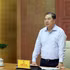 越南政府副总理范嘉足发表讲话。（图片来源：qdnd.vn）
