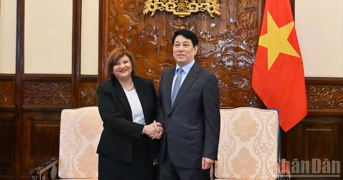 越南国家主席梁强与阿拉伯埃及共和国驻越大使阿玛尔·阿卜杜勒·卡德尔·艾尔穆尔西·萨拉马。