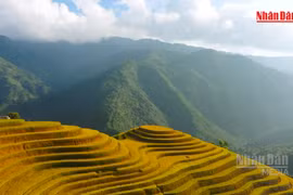 越南入选2026年全球最受欢迎国家前十名【视频】