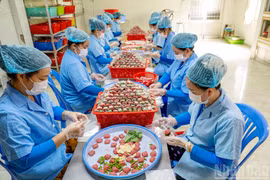 莱雍酸肉卷——同塔省“莲花之乡”的美食【组图】
