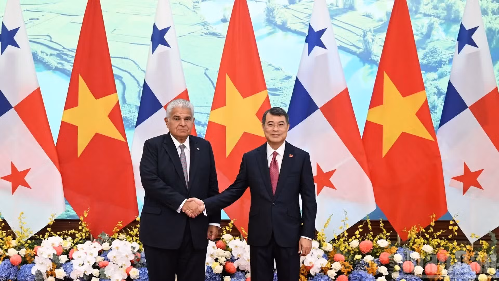 越南政府总理黎明兴会见巴拿马总统何塞·劳尔·穆利诺【组图】