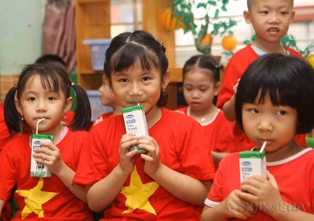 受益于河内市“学校牛奶”计划，所有学前和小学阶段儿童均能喝上牛奶，以助力健康成长。