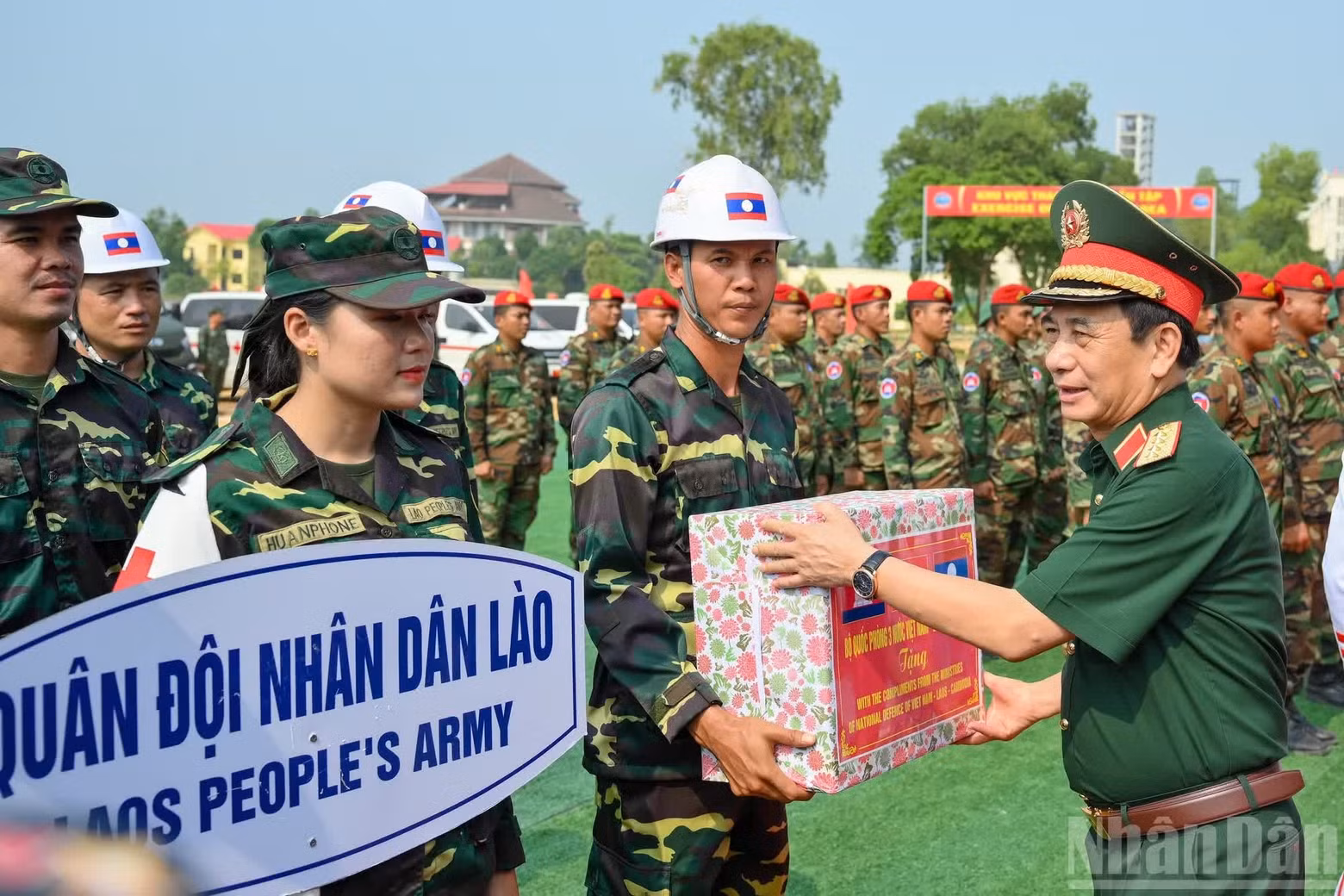 dientap11.jpg
