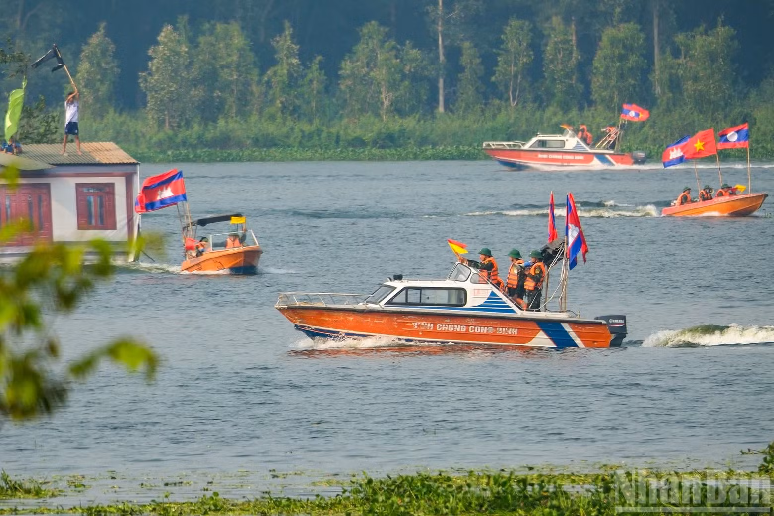 dientap5.jpg